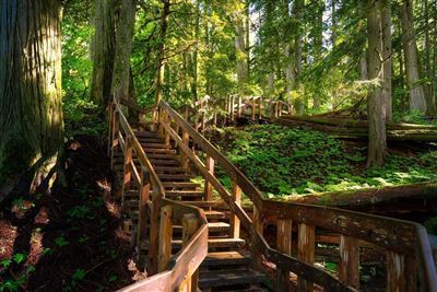 Wanderwege im Mount Revelstoke Nationalpark